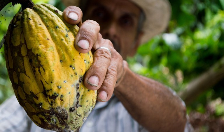 Novo Cadastro para Autônomos e Produtores Rurais no site Receita Federal